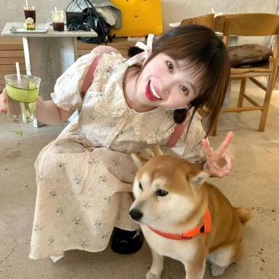 秋菊打官司